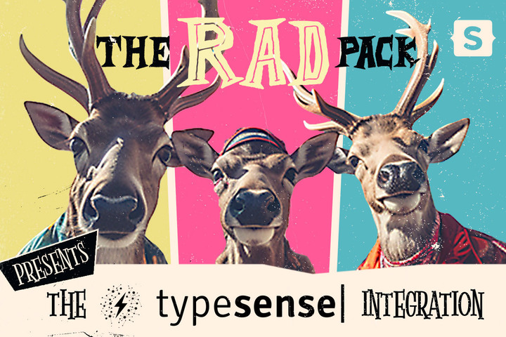 Typesense Icon